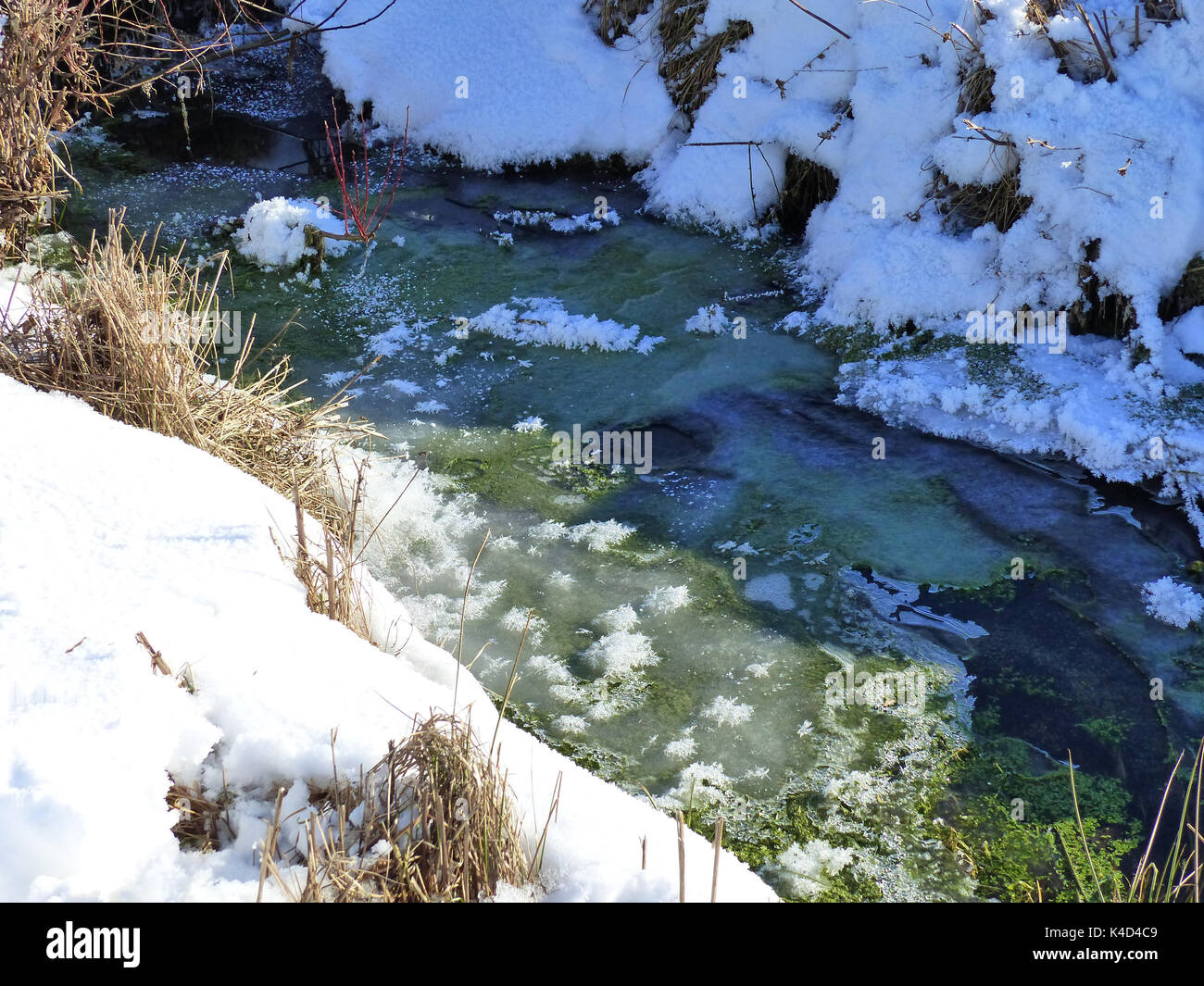Winter in Ampermoss, River Valley Fen in der Nähe Ammersee in Oberbayern Stockfoto Winter in Ampermoss, River Valley Fen in der Nähe Ammersee in Oberbayern Stockfoto