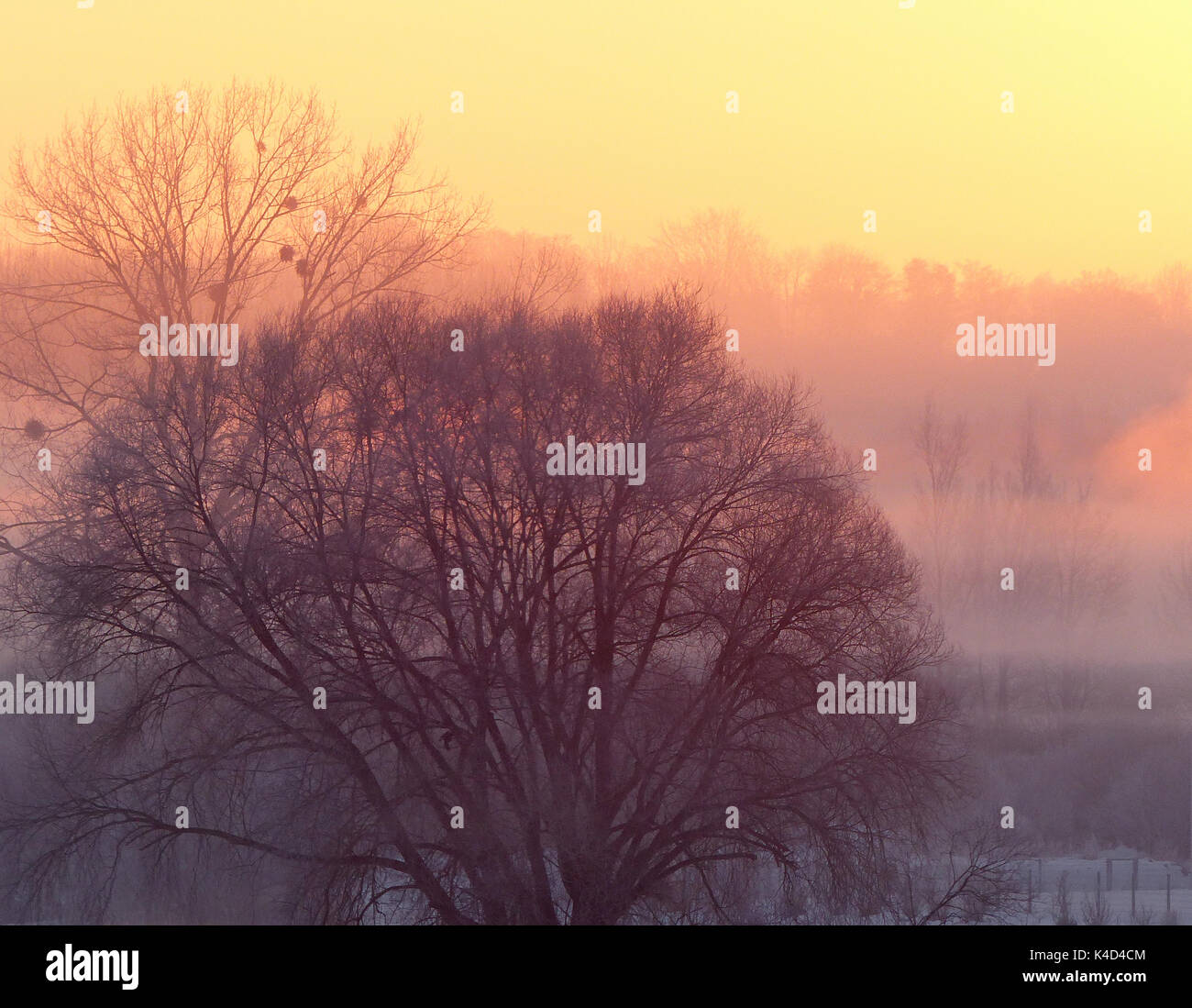 Sonnenaufgang in Ampermoss, River Valley Fen in der Nähe Ammersee in Oberbayern Stockfoto
