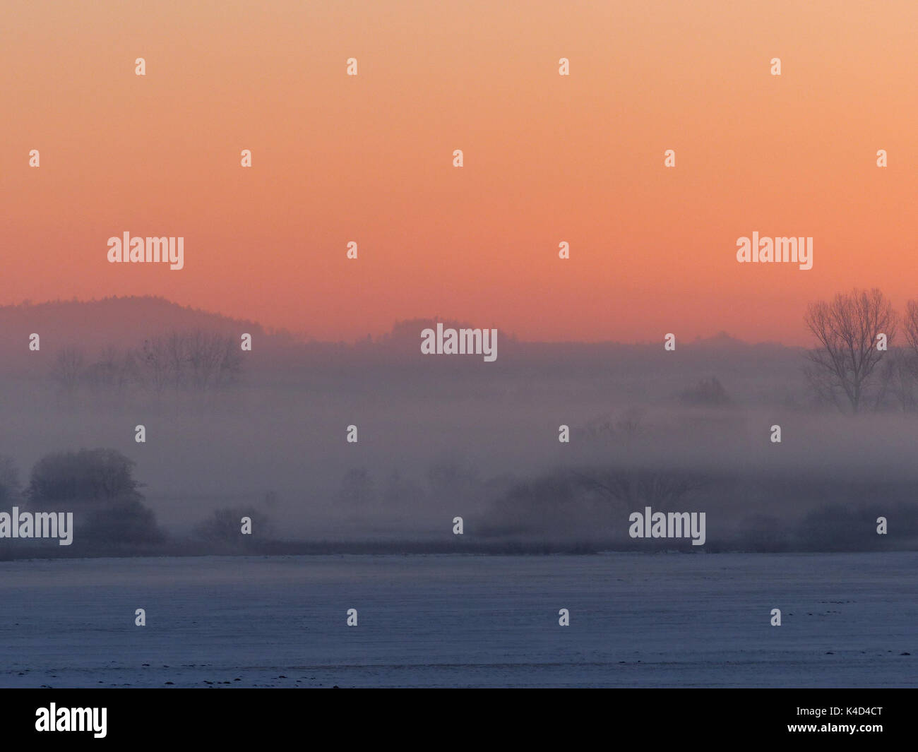 Sonnenaufgang in Ampermoss, River Valley Fen in der Nähe Ammersee in Oberbayern Stockfoto