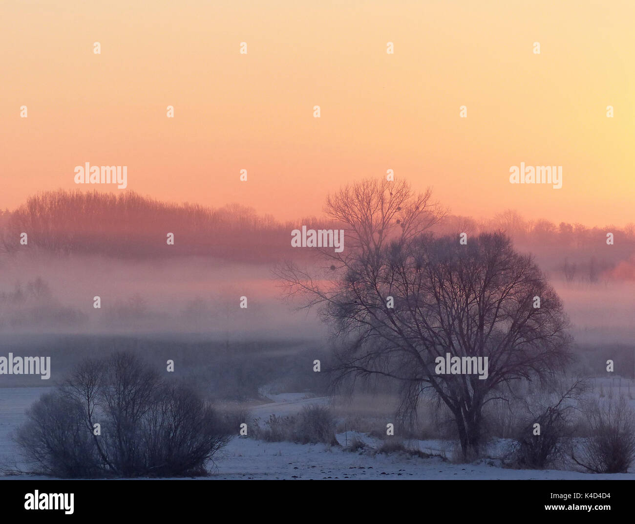 Sonnenaufgang in Ampermoss, River Valley Fen in der Nähe Ammersee in Oberbayern Stockfoto Sonnenaufgang in Ampermoss, River Valley Fen in der Nähe Ammersee in Oberbayern Stockfoto