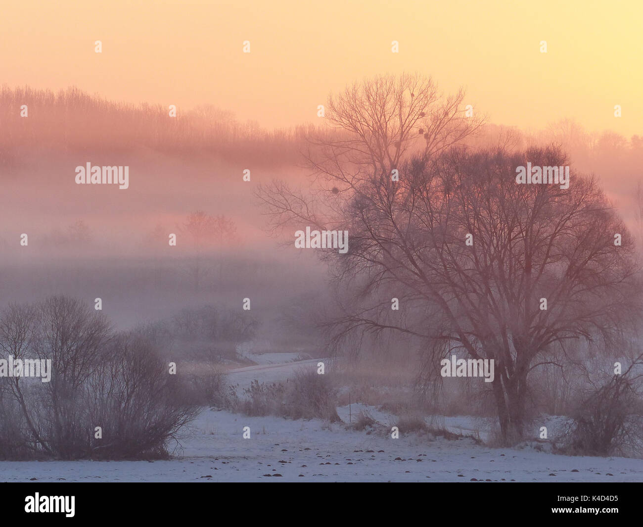 Sonnenaufgang in Ampermoss, River Valley Fen in der Nähe Ammersee in Oberbayern Stockfoto