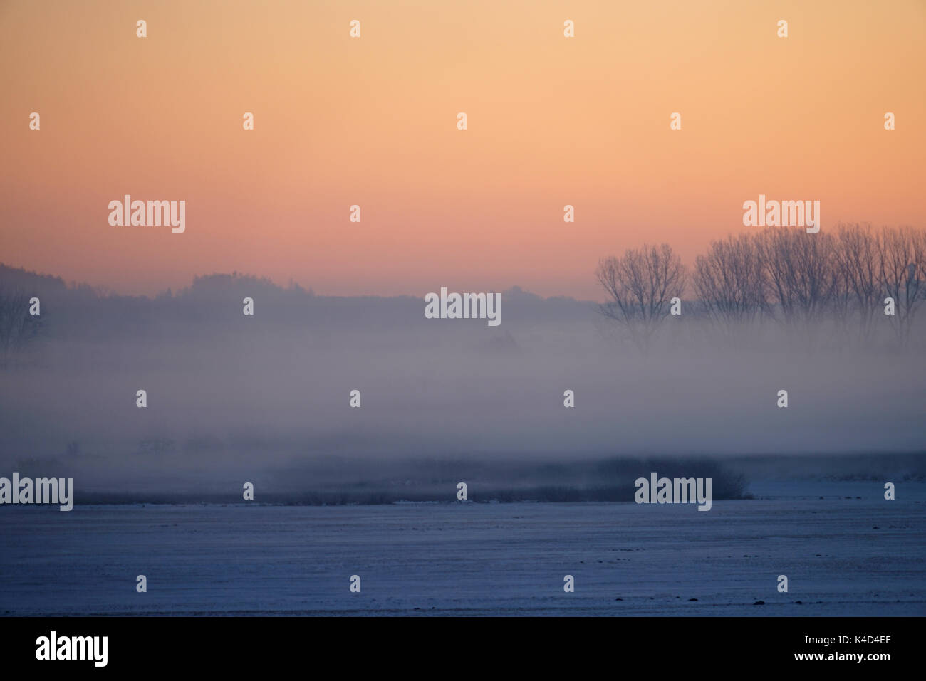 Sonnenaufgang in Ampermoss, River Valley Fen in der Nähe Ammersee in Oberbayern Stockfoto Sonnenaufgang in Ampermoss, River Valley Fen in der Nähe Ammersee in Oberbayern Stockfoto