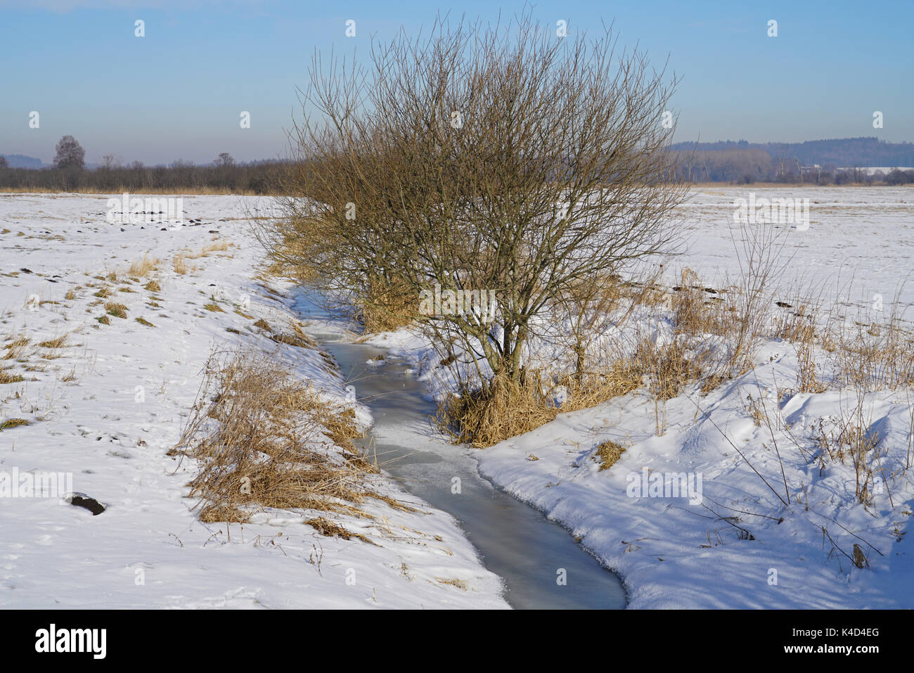 Ampermoss, River Valley Fen in der Nähe Ammersee in Oberbayern Stockfoto