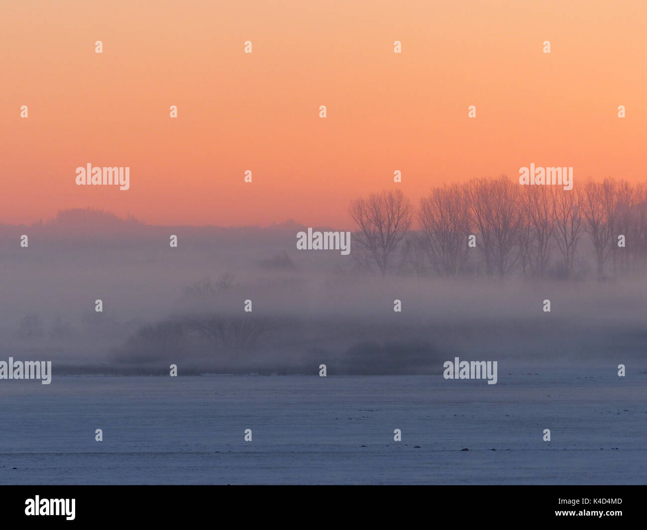 Sonnenaufgang in Ampermoss, River Valley Fen in der Nähe Ammersee in Oberbayern Stockfoto