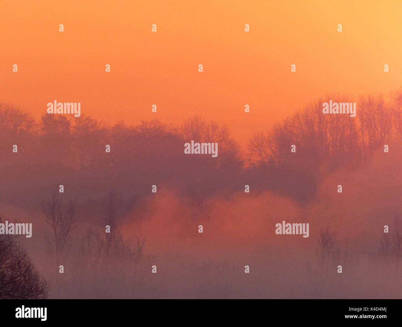 Sonnenaufgang in Ampermoss, River Valley Fen in der Nähe Ammersee in Oberbayern Stockfoto Sonnenaufgang in Ampermoss, River Valley Fen in der Nähe Ammersee in Oberbayern Stockfoto