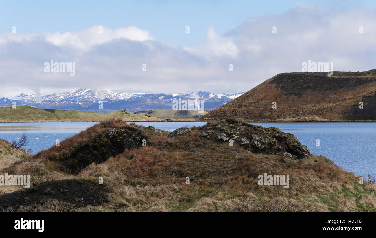 Island, Pseudokrater In Myvatn, Teich Stakholstjèrn Im Norden Stockfoto Island, Pseudokrater In Myvatn, Teich Stakholstjèrn Im Norden Stockfoto