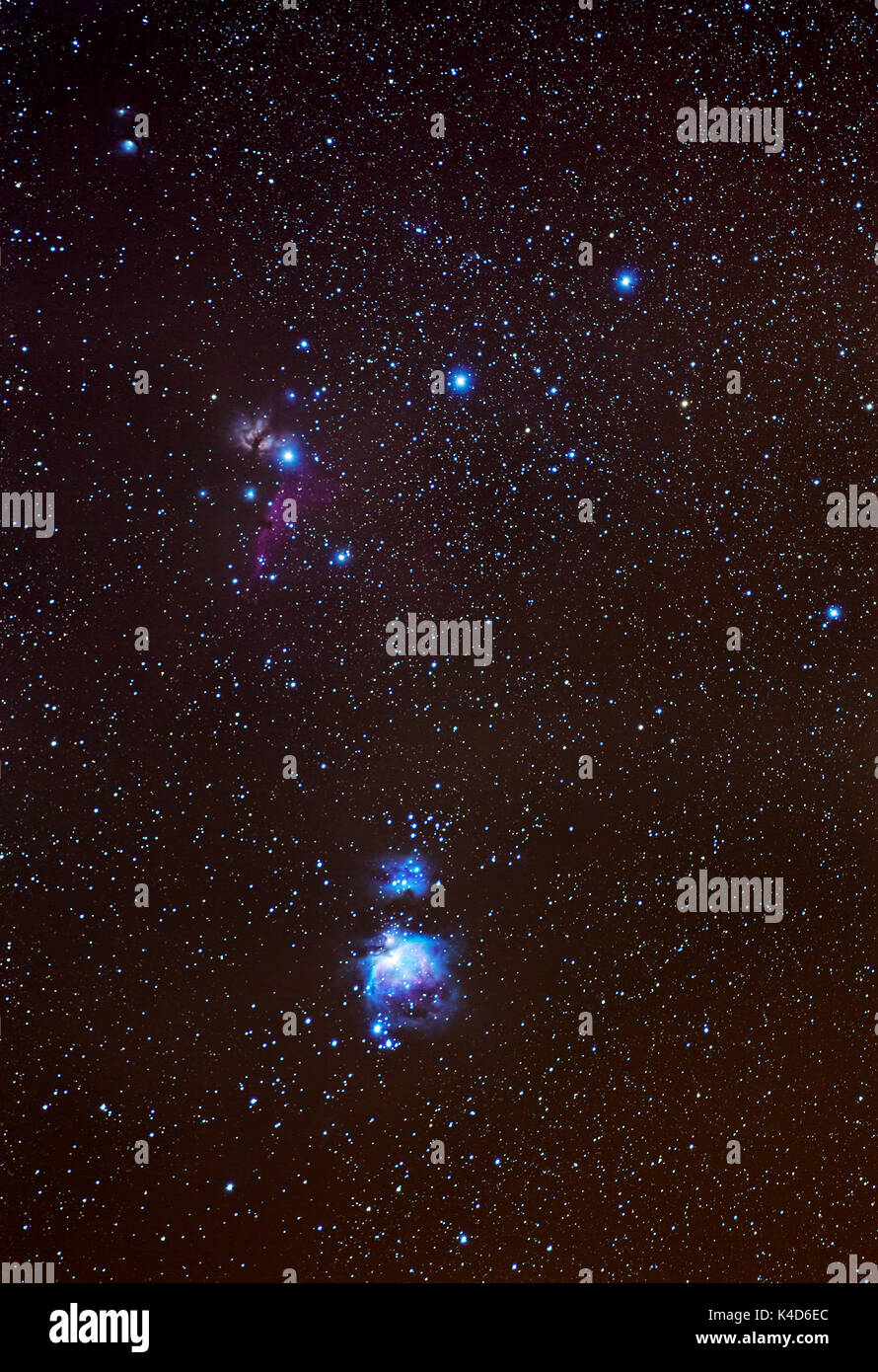 Blick in die Orion Bereich mit schwarzen Himmel Hintergrund. In der Eifel, Deutschland. Im unteren Teil ist der Große Orionnebel, in der oberen linken der Fla Stockfoto