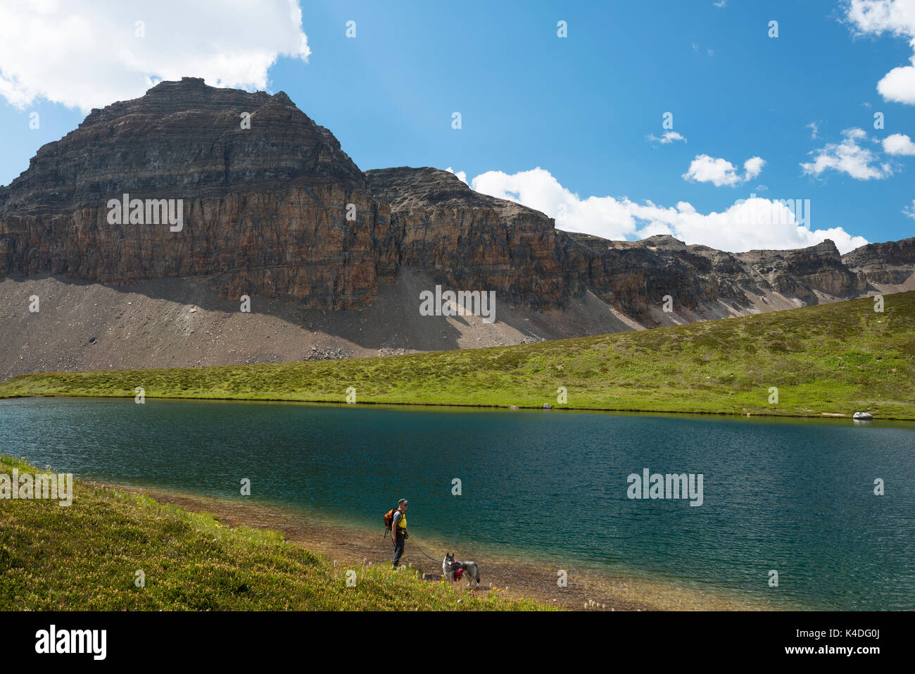 Wanderer und Hund an Helen Lake, Banff National Park, Alberta, Kanada Stockfoto