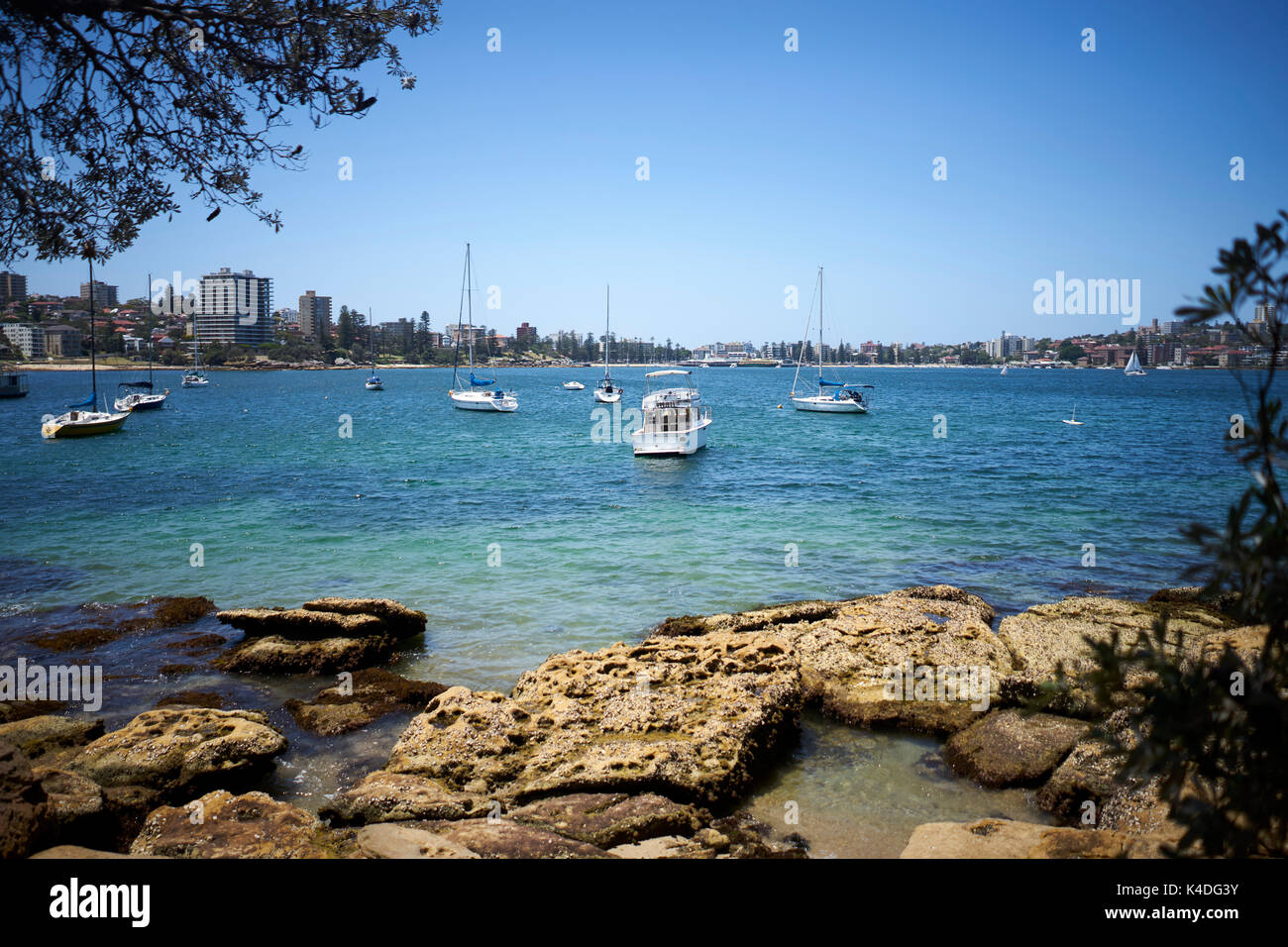 Mehrere Segelboote in der Bucht von Sydney, Australien Stockfoto