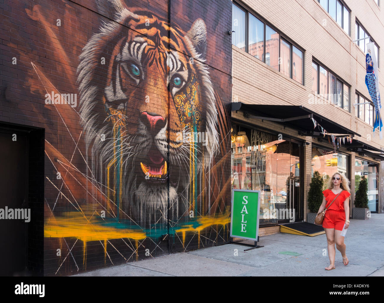 Eine junge Touristin, die ein riesiges Bild eines Tigers an einer Mauer in SoHo, einem historischen Viertel in Lower Manhattan, vorbeiführt Stockfoto