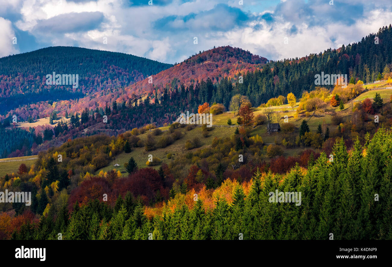 Dorf auf einem Hügel mit Wald im Herbst. Wunderschöne und farbenfrohe Berglandschaft mit super Wetter Stockfoto