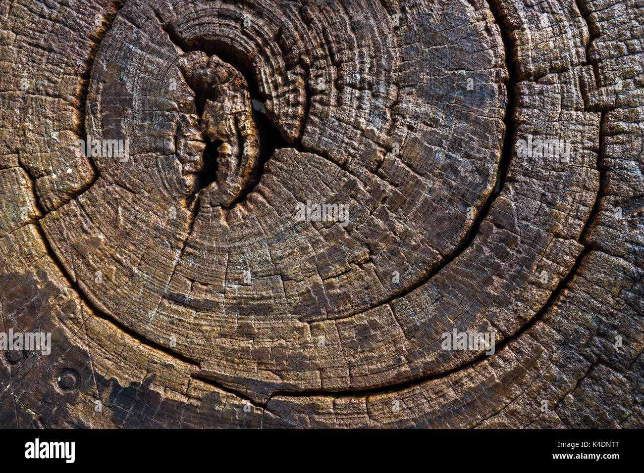 Geschlossen bis Querschnitt des Rumpfes, Stuhl oder Tisch sein. Stockfoto