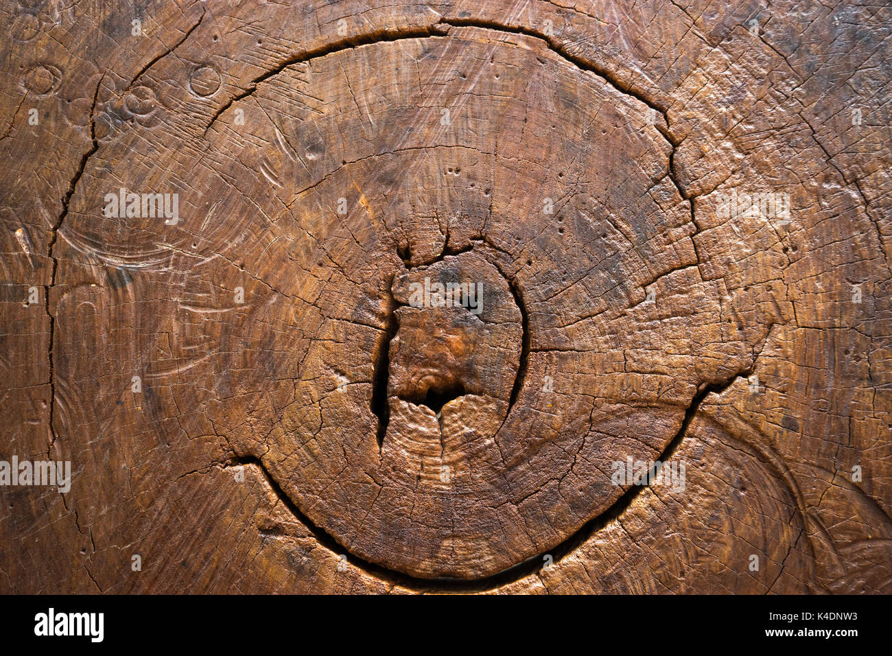 Geschlossen bis Querschnitt des Rumpfes, Stuhl oder Tisch sein. Stockfoto