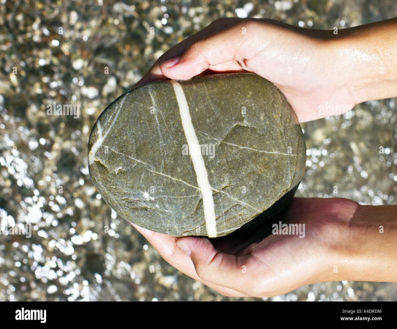 Große graue nasse See Stein in den Händen Stockfoto