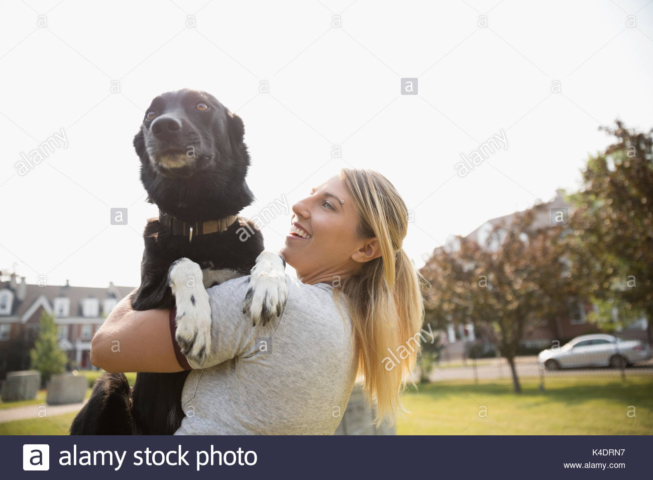 Hund vom besitzer stehen -Fotos und -Bildmaterial in hoher Auflösung ...