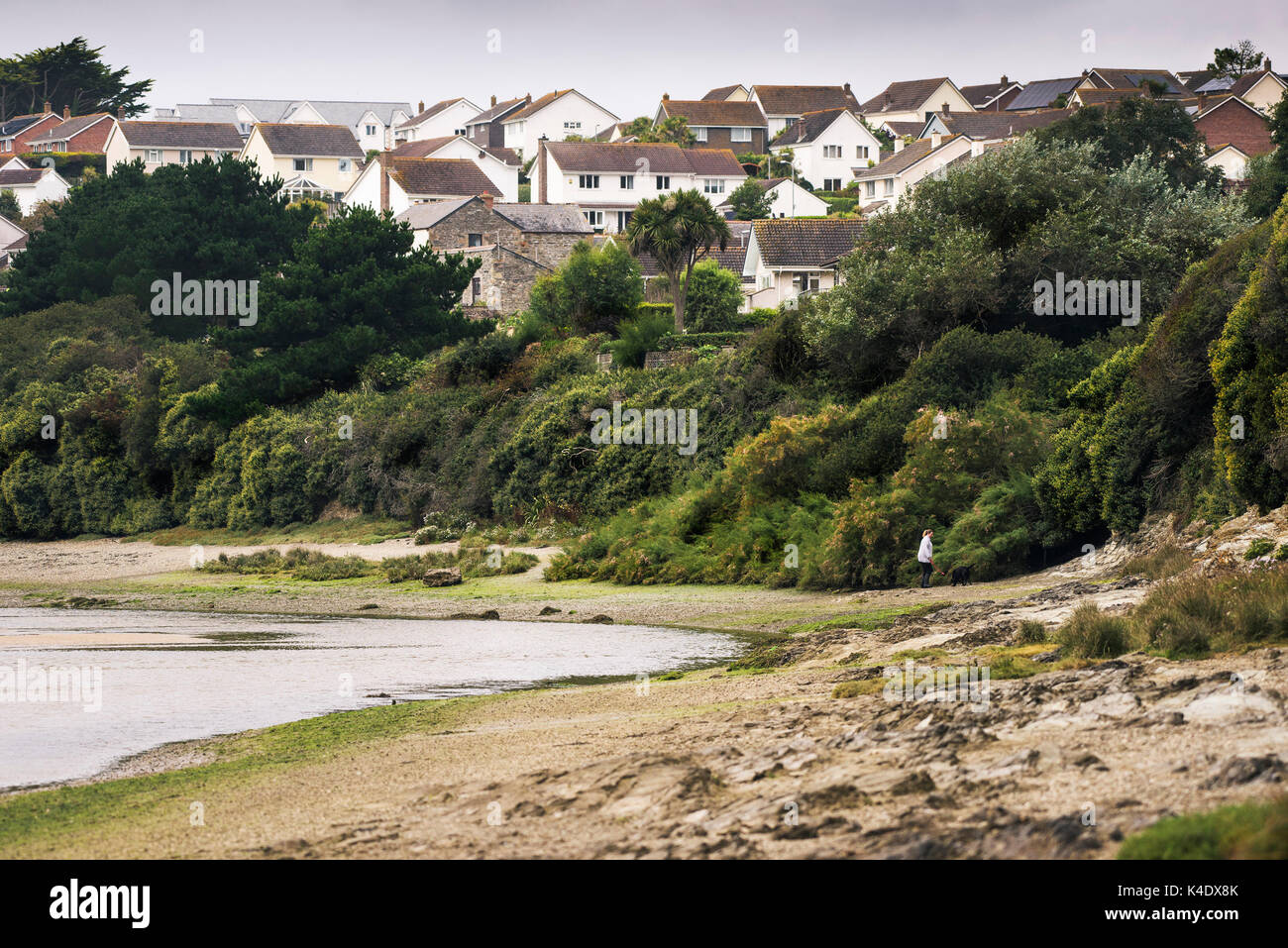 Häuser mit Blick auf den Fluss Gannel in Newquay Cornwall. Stockfoto