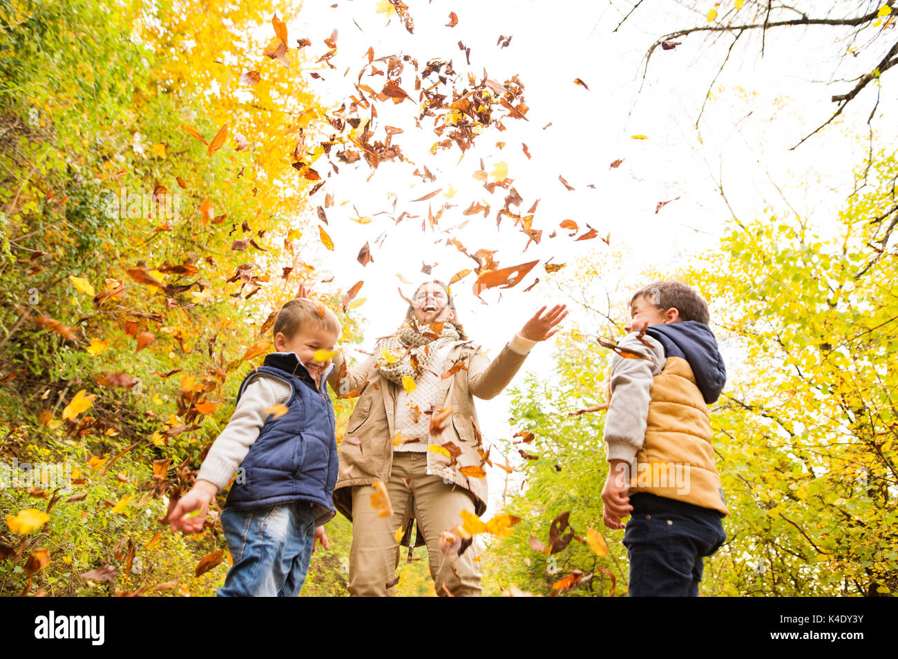 Junge Mutter mit ihren Söhnen im Herbst Wald. Stockfoto