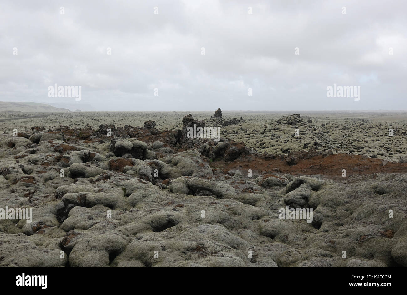 Island, Lava Steinen bedeckt mit Isländisch Moos, Südosten Stockfoto Island, Lava Steinen bedeckt mit Isländisch Moos, Südosten Stockfoto