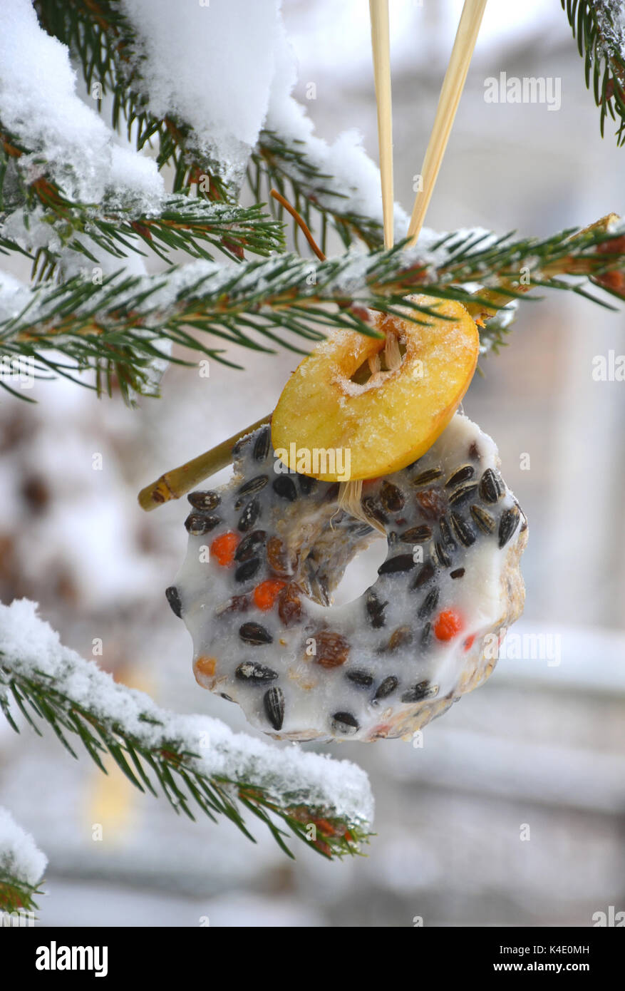 Hausgemachte Vogelfutter für die Vogelfütterung im Winter Stockfoto