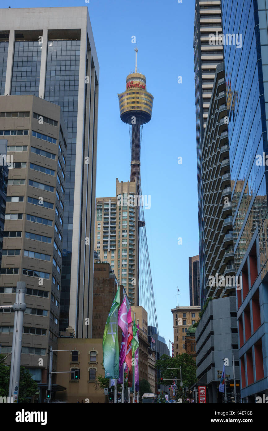 Die Westfield Sydney Tower in Downtown Central Business District (CBD), Sydney, New South Wales Australien Stockfoto