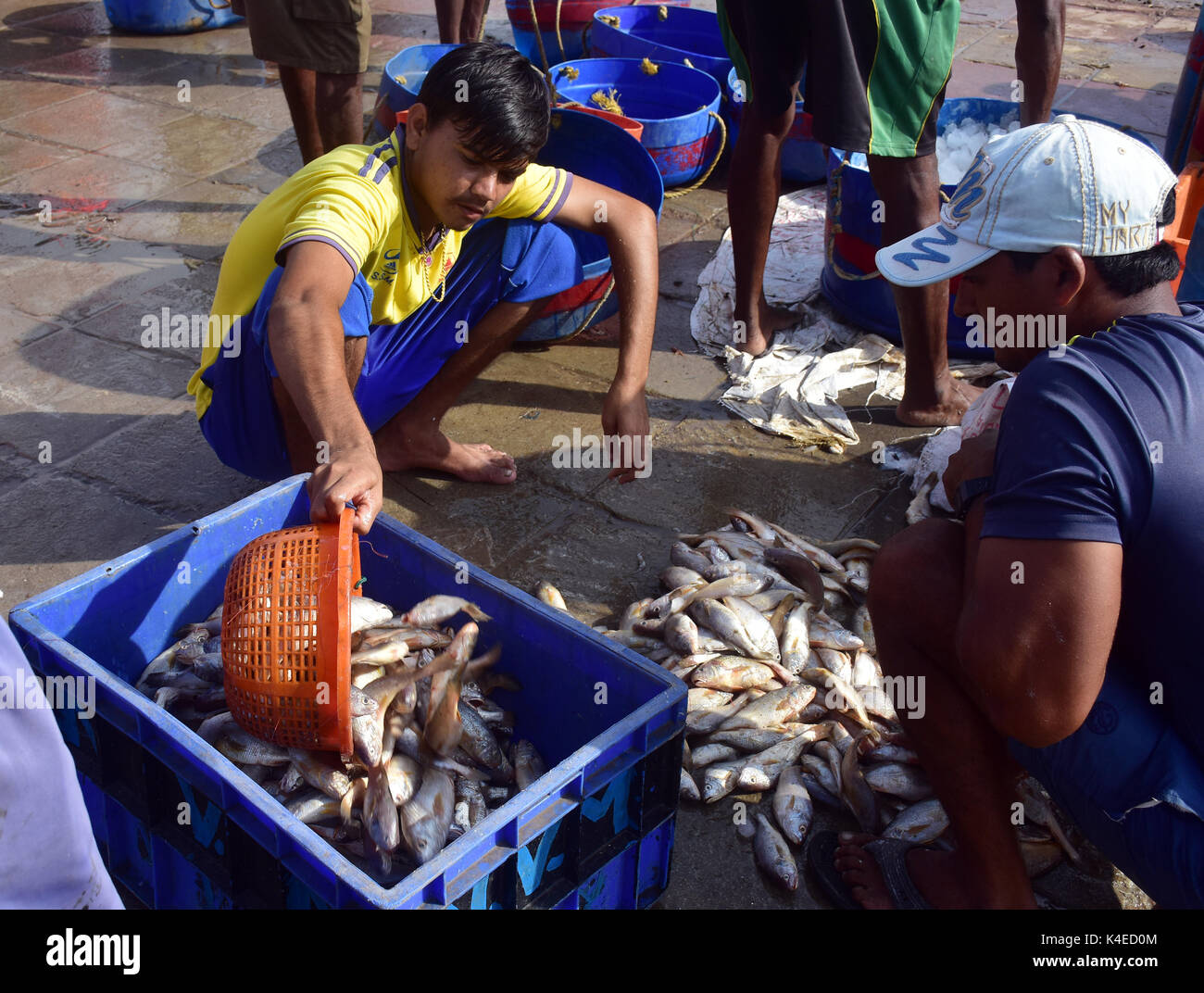 Mumbai, Indien. 5. September 2017. Koli Angeln Gemeinschaft Mann und Frauen an versova Fischmarkt in Mumbai. Stockfoto