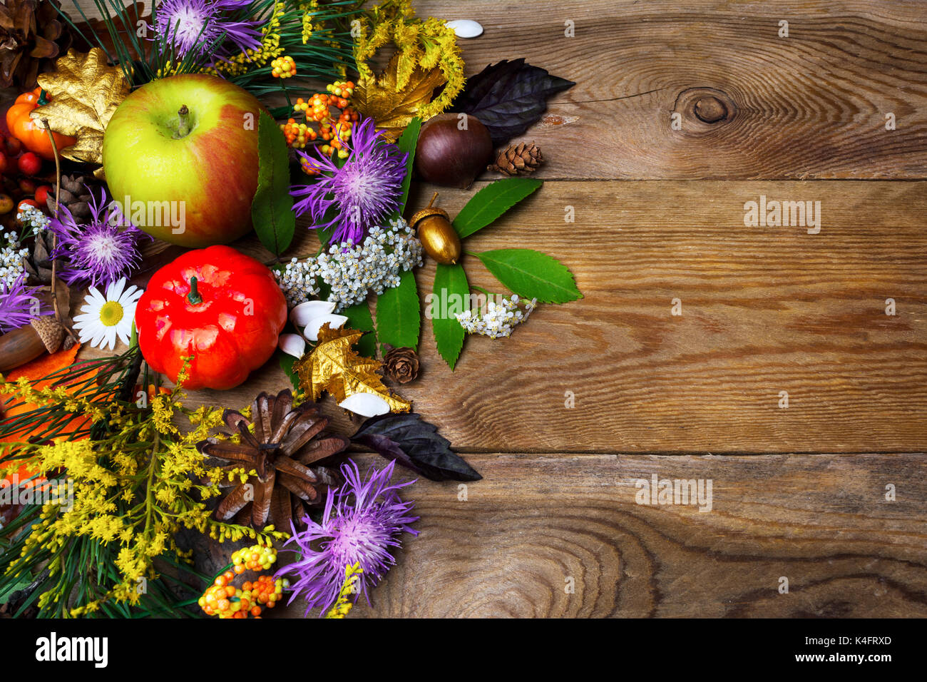 Happy Thanksgiving Einrichtung mit Kürbis, Äpfel und golden Acorn auf der linken Seite des rustikalen Holztisch. Herbst Hintergrund mit Gemüse der Saison und f Stockfoto