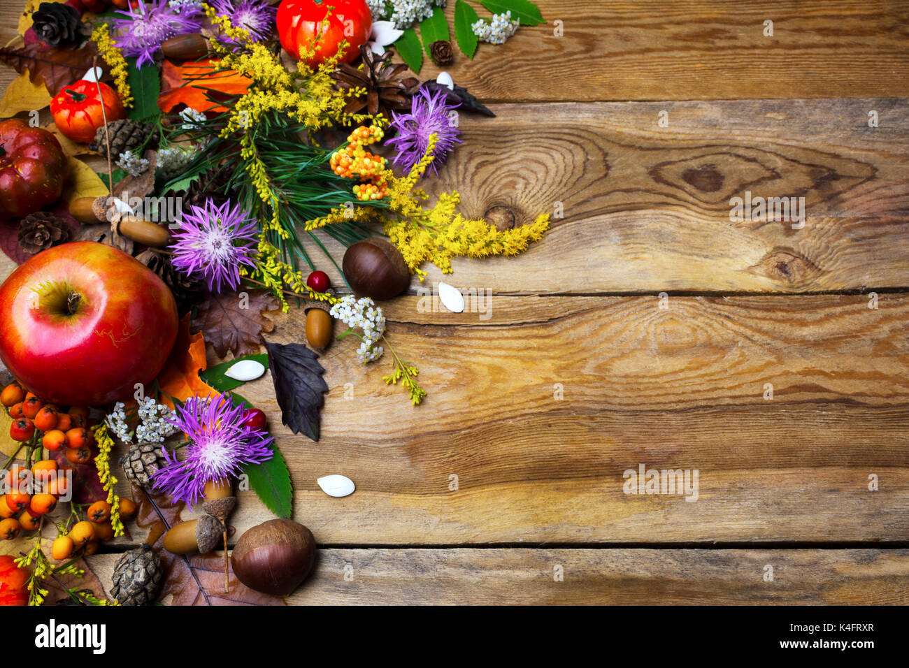 Happy Thanksgiving Einrichtung mit Kürbis, Äpfel und Squash Samen auf der linken Seite des rustikalen Holztisch. Herbst Hintergrund mit Gemüse der Saison und f Stockfoto