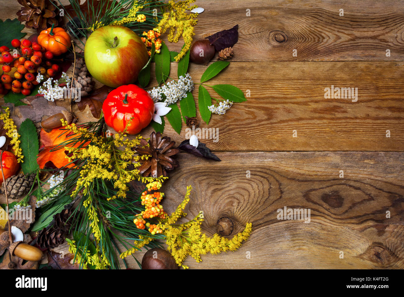 Happy Thanksgiving Einrichtung mit Kürbis, Äpfel und Vogelbeeren auf der linken Seite des rustikalen Holztisch. Herbst Hintergrund mit Gemüse der Saison und Stockfoto