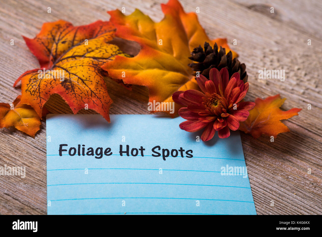 Herbst Laub und Ernte Fest Konzept auf Notebook und Holzbrett Stockfoto