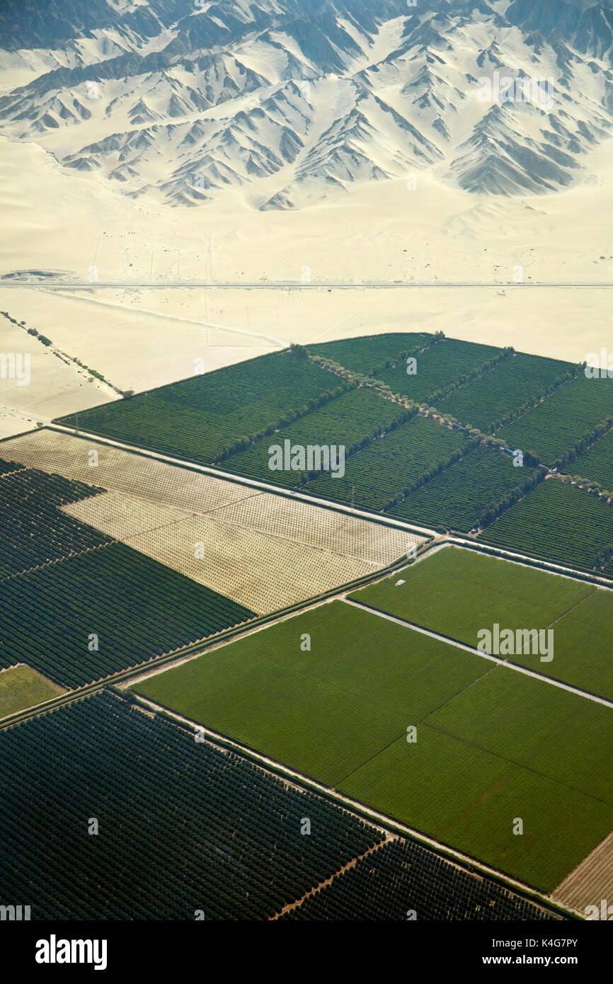 Riesige Plantage in der Wüste am Rande von Ica, Peru, Südamerika - Antenne Stockfoto