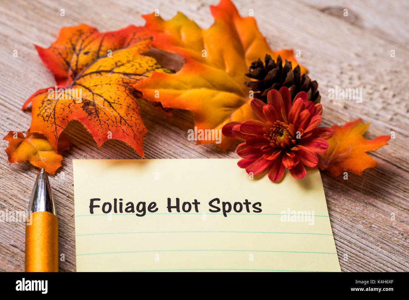 Herbst Laub und Ernte Fest Konzept auf Notebook und Holzbrett Stockfoto