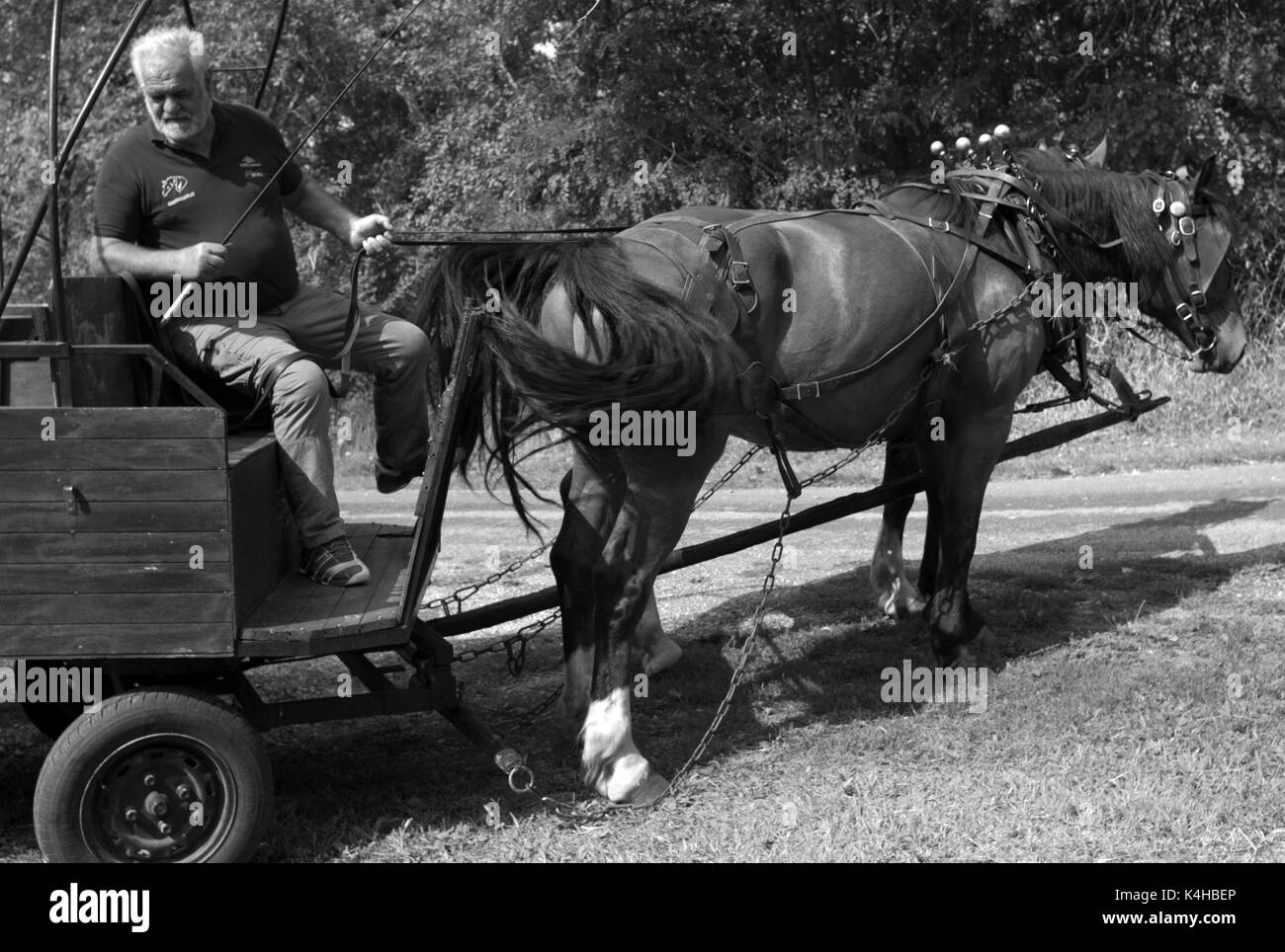 Pferd und Wagen, La Fontade, Lot, Frankreich Stockfoto