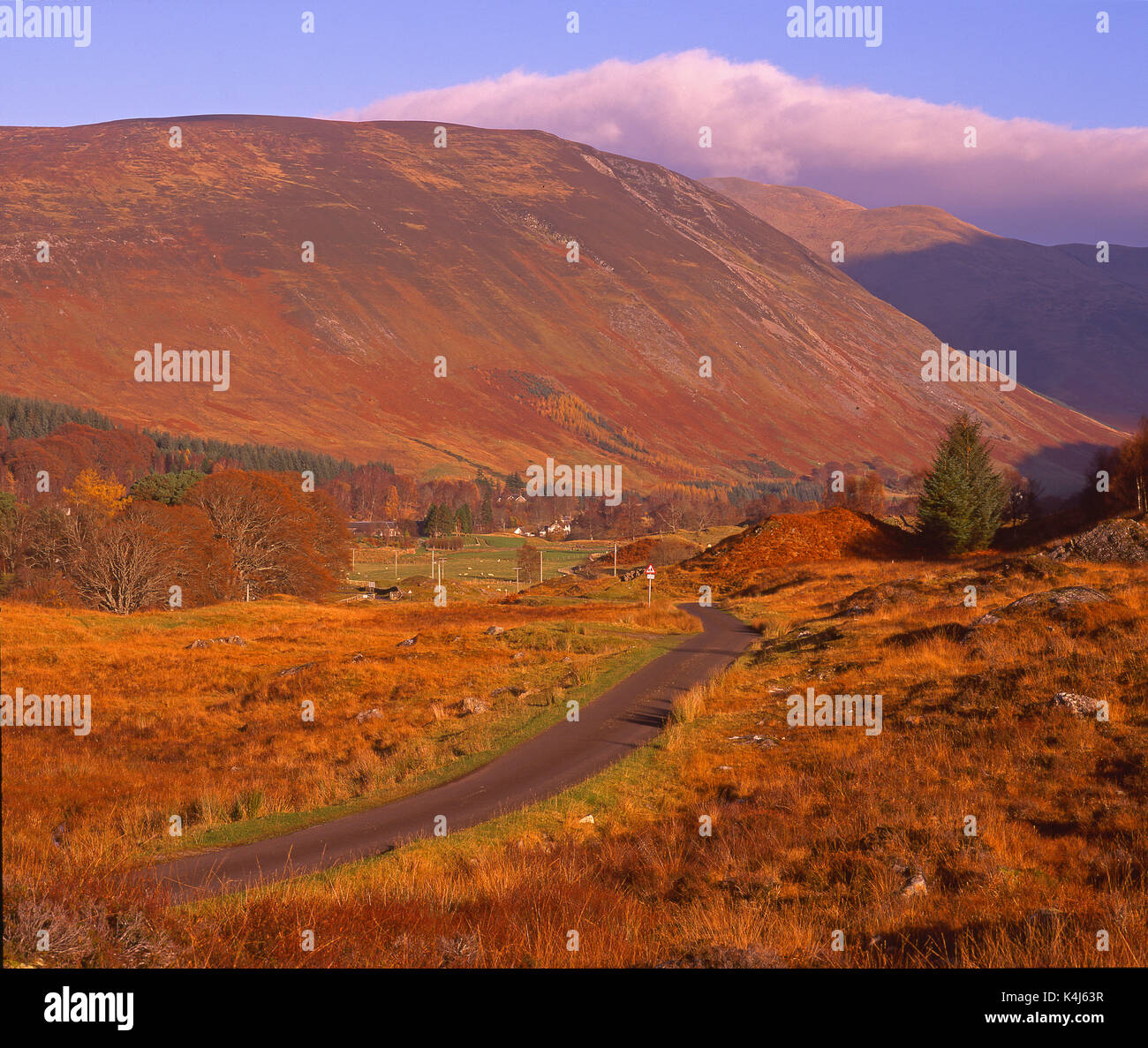 Herbst Blick hinunter auf der Suche Glen Lyon, Perthshire Stockfoto