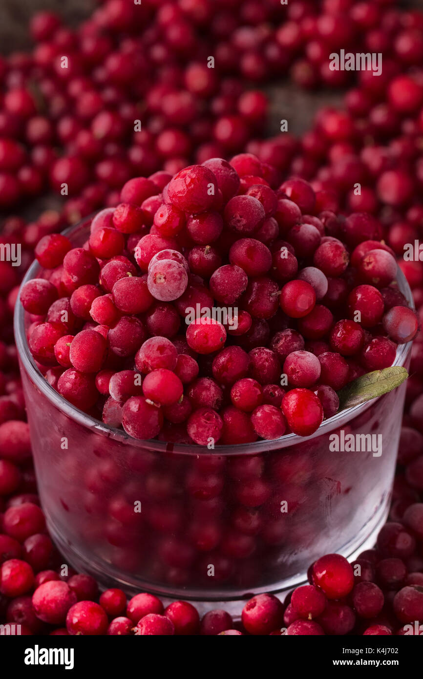Bio Cranberry oder Cowberry. Draufsicht. Stockfoto