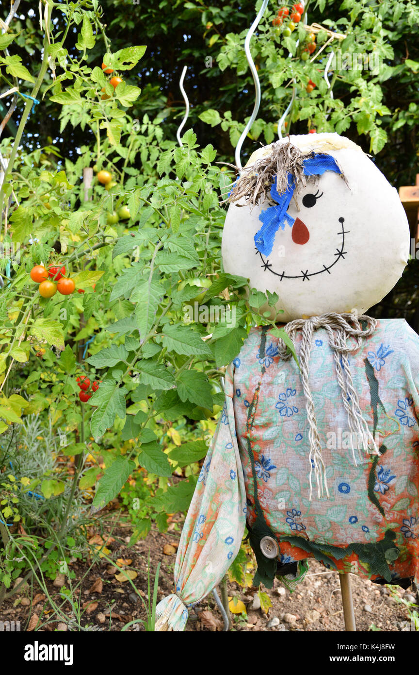 Ein Gemüsegarten mit einer Vogelscheuche und Tomaten Pflanzen. Stockfoto