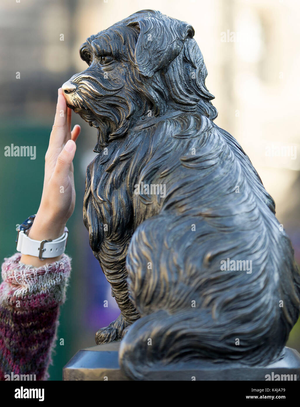 Greyfriars Bobby's Denkmal befindet sich auf der Ecke der Candlemakers Zeile und König George IV Bridge Edinburgh Schottland Großbritannien. Stockfoto