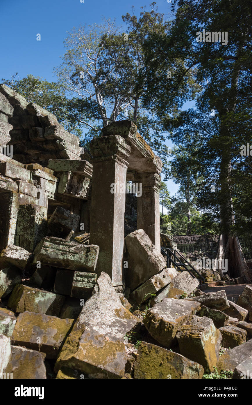 Ruinen von Ta Prohm Tempel Angkor Archäologischer Park, krong Siem Reap, Siem Reap, Kambodscha Stockfoto