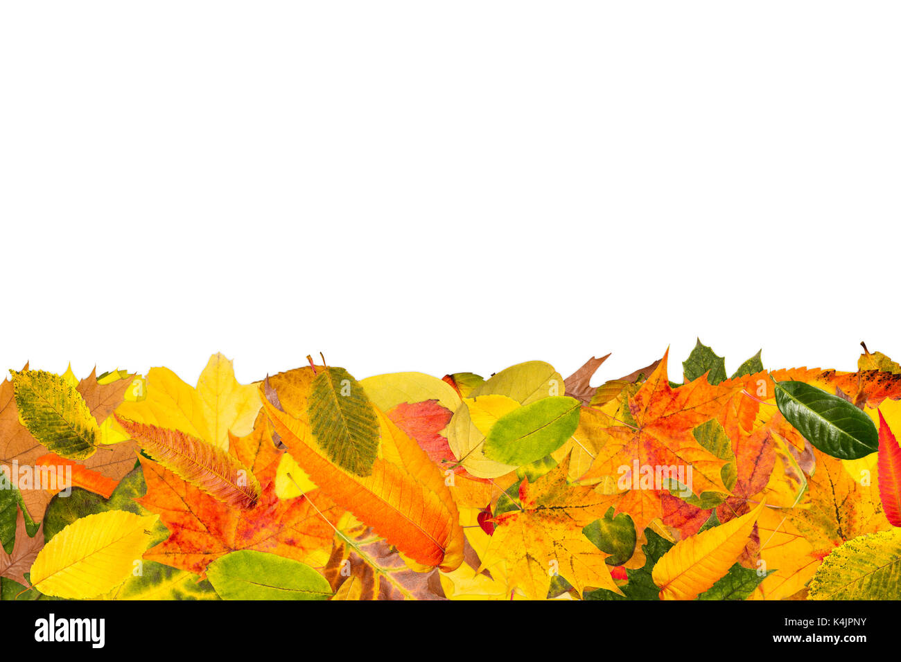 Herbst Hintergrund mit vielen Blätter für den Herbst Stockfoto