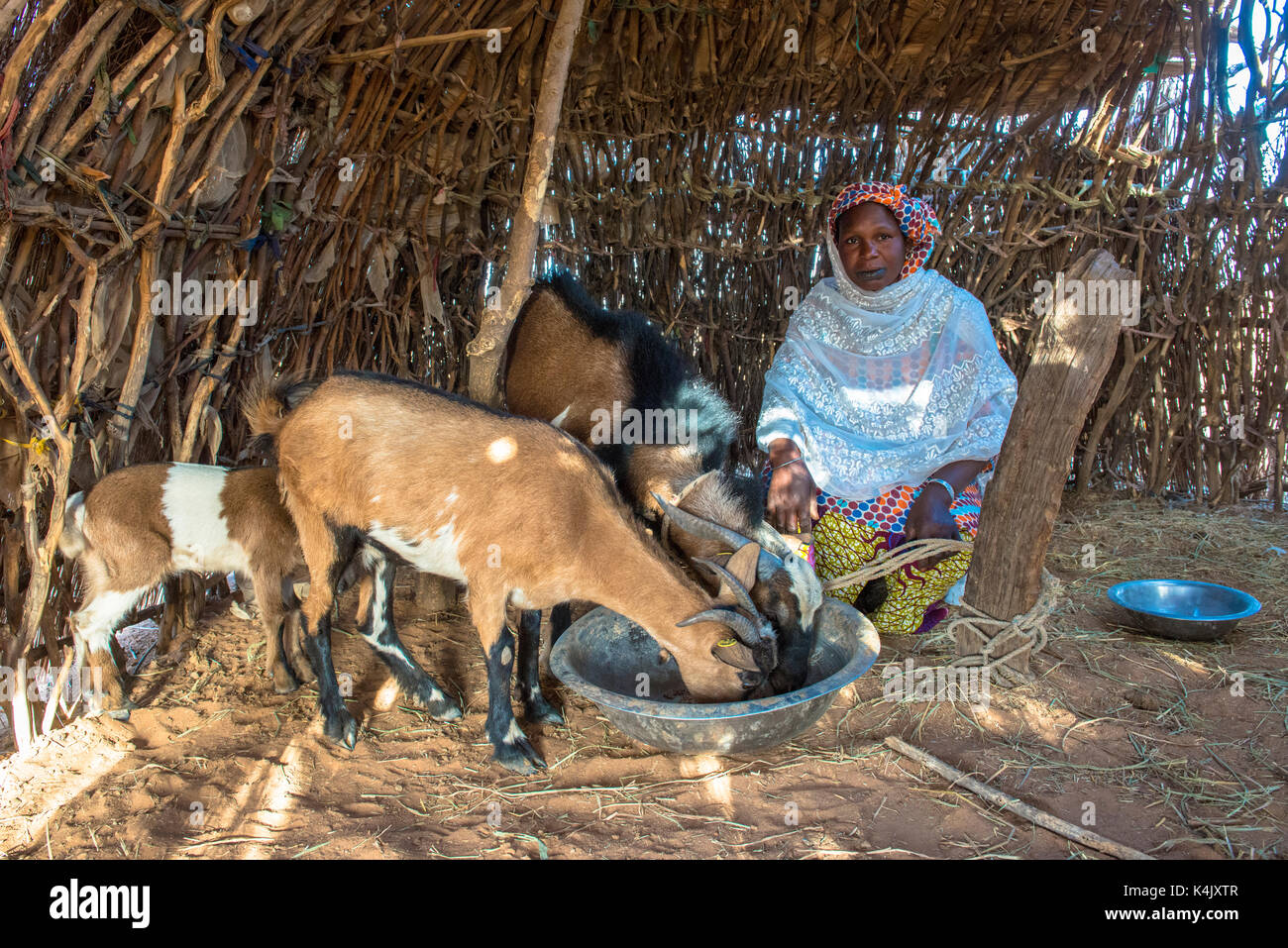 Peul Ziege Herder, Senegal, Westafrika, Afrika Stockfoto