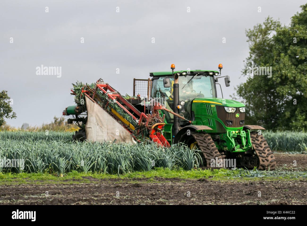 Lauchernte in Burscough, Lancashire. September 2017. UK Wetter  Trocknungsbedingungen im Spätsommer. Ein John Deere 6210R getrackter  automatischer Harvester, der von Satelliten-GPS gesteuert wird, eine Form  autonomer Technologie. Es gilt als fahrerlos, da