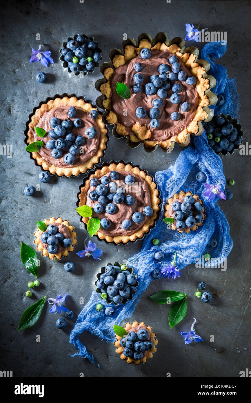Hausgemachte und rustikalen Torten mit frischen Blaubeeren und Schokolade Stockfoto