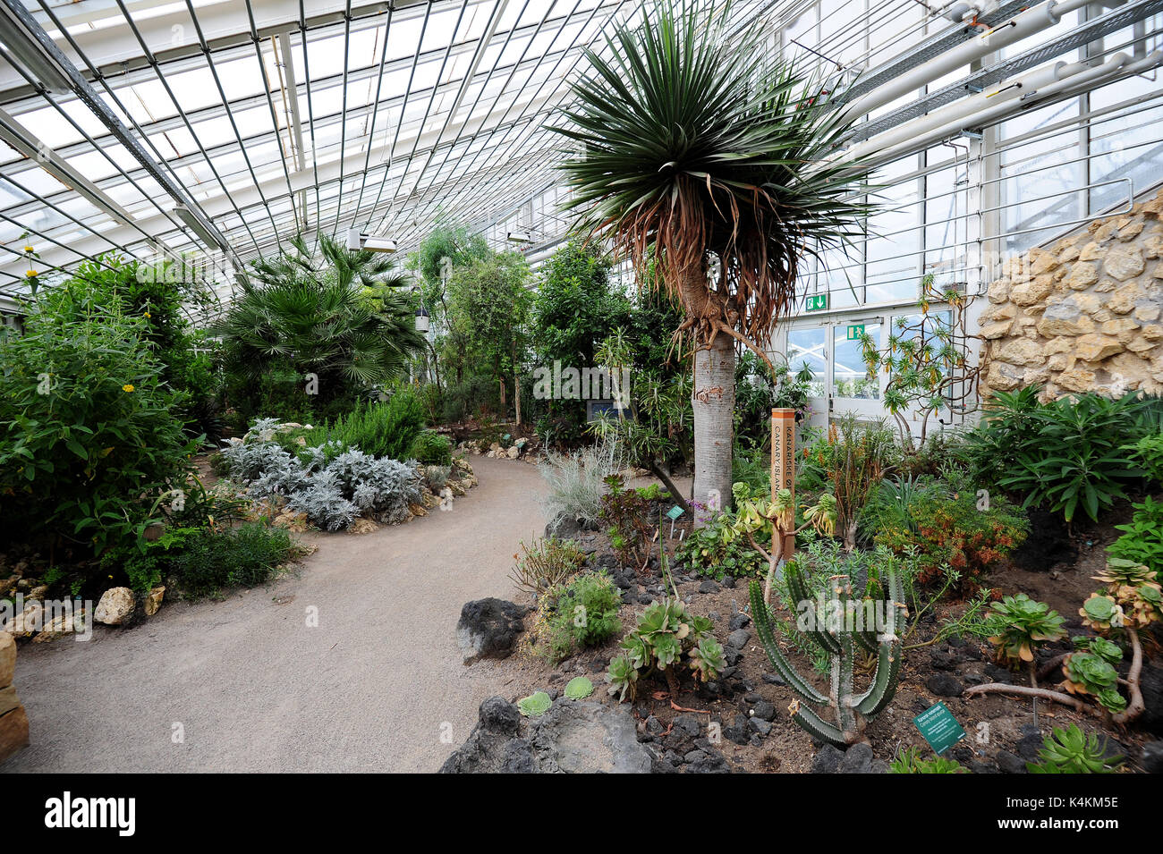 Die Gewächshäuser im Botanischen Garten in Aarhus, Dänemark. Stockfoto