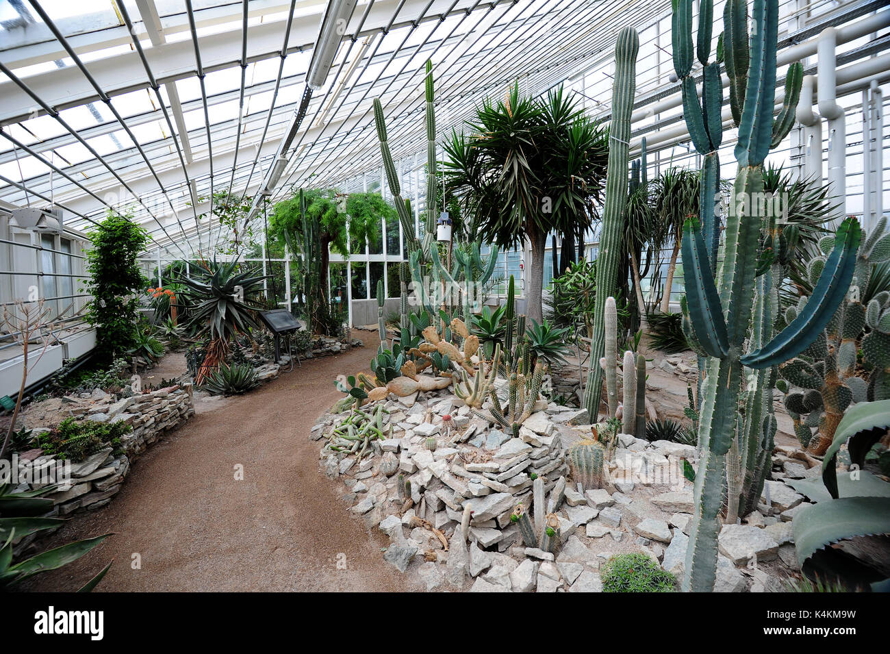 Die Gewächshäuser im Botanischen Garten in Aarhus, Dänemark. Stockfoto