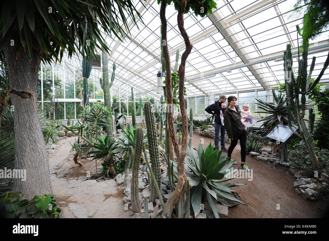 Ein junges Paar mit Baby die Gewächshäuser im Botanischen Garten in Aarhus, Dänemark. Stockfoto