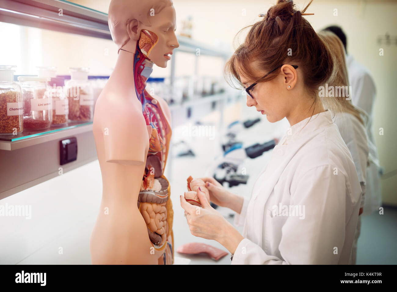 Student der Medizin untersuchen anatomische Modell im Labor Stockfoto