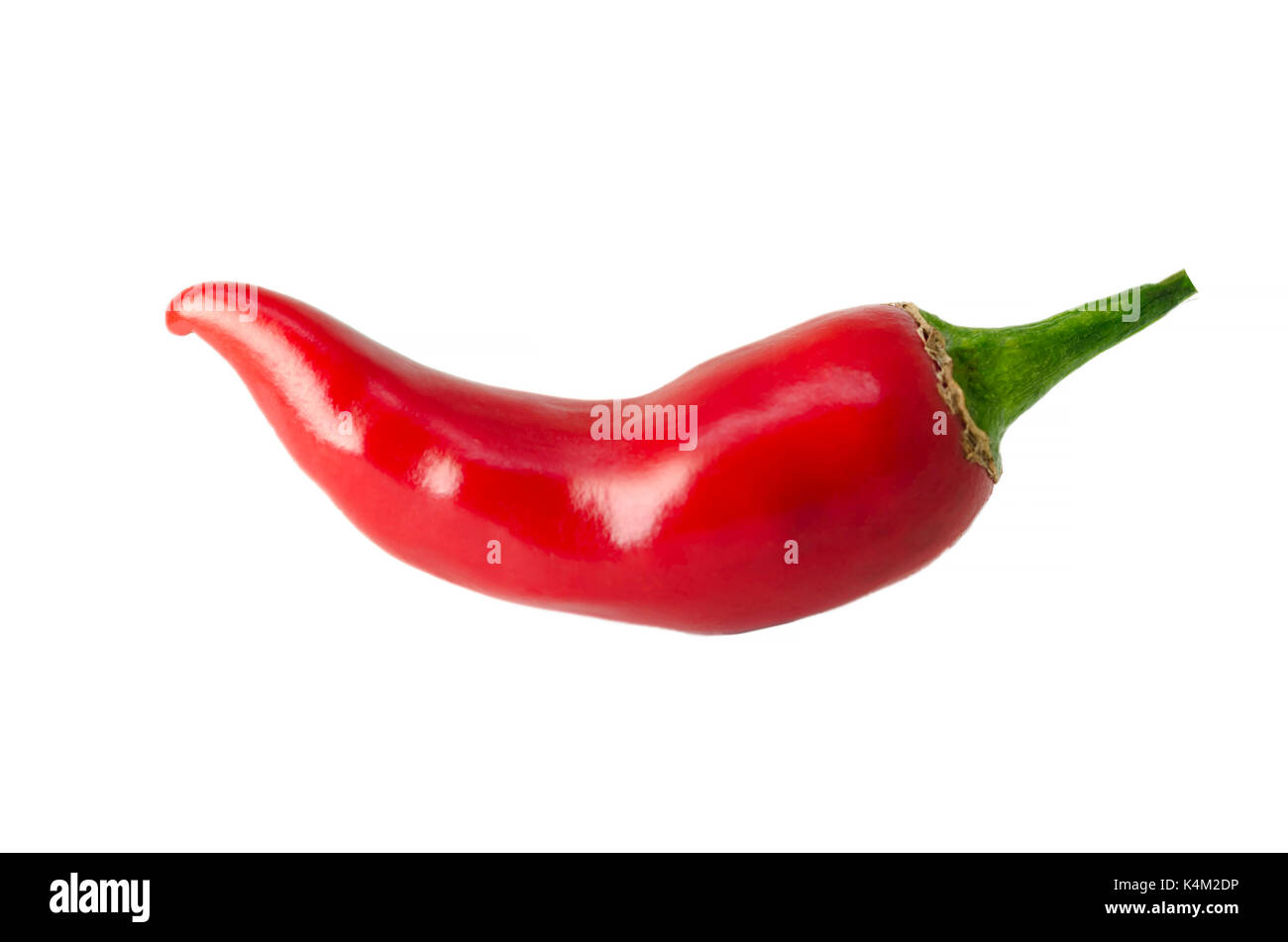 Isolierte chili Red Pepper Stockfoto