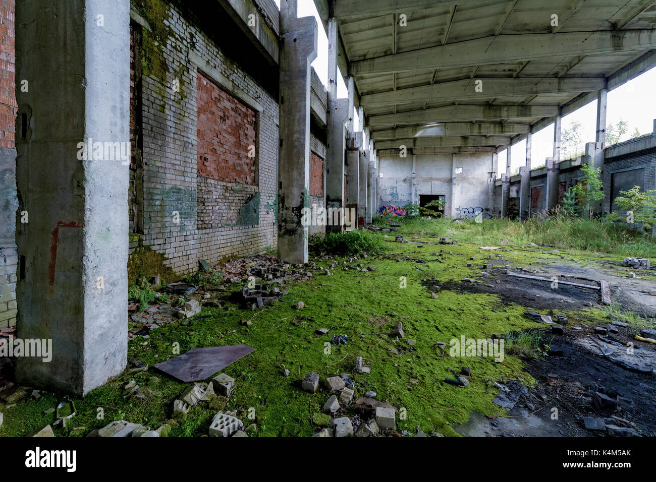Verlassene Fabrik in grün Moos bedeckt Stockfoto