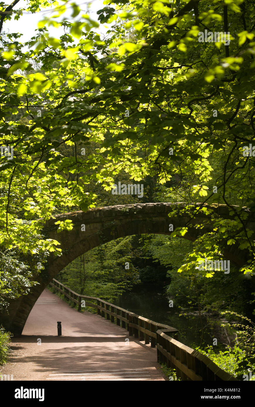 Jesmond Dene, Tyne und Wear Stockfoto