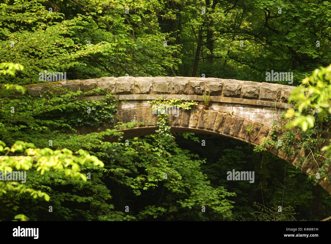 Jesmond Dene, Tyne und Wear Stockfoto