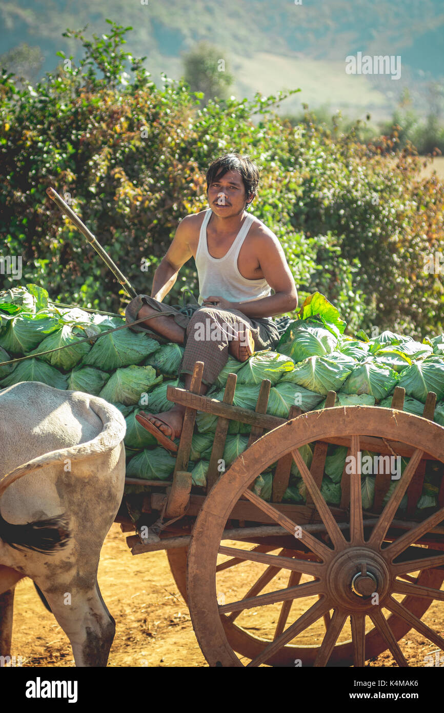 Shan Staat, Myanmar Dez. 26, 2013. Das wirkliche Leben in ländlichen Shan Staat, Myanmar, Birma. Stockfoto